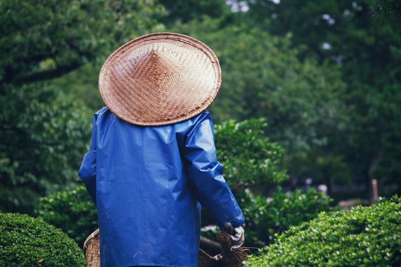 Local Gardening Workshop